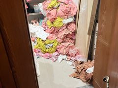 -金沙会馆