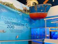 -迪拜水族馆及水下动物园