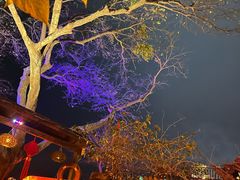 -城墙外BAR