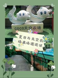 -可可天空农场(中大店)