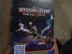 -灵玲国际马戏城