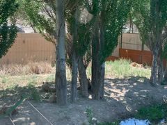 -新疆天山野生动物园