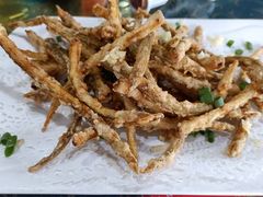 鳗鱼-陈岱后山窑鸡店