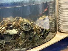 -海天盛宴新派海鲜自助餐厅(群力店)