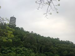 -深圳国际园林花卉博览园