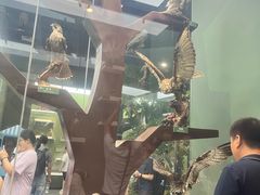 -国家自然博物馆