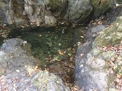 -山沟沟景区