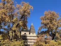 -北京石刻艺术博物馆(五塔寺)