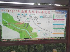 -大青沟风景区