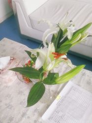 -蕾特恩专业祛痘·皮肤管理