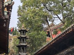-玉泉观