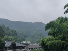 -龙井村