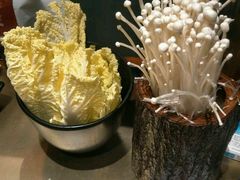 -手选潮汕鲜活牛肉火锅(二七广场店)