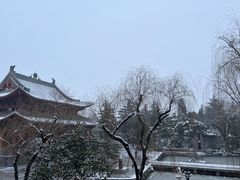-洛阳白马寺