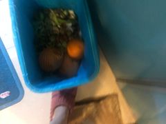 -诚实果品批发行(三星路店)