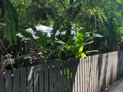 -Fern Forest Cafe