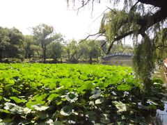 -二一九公园