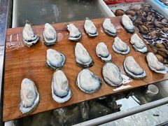 -南沙十九涌渔人码头-南门