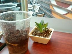 android_upload_pic-Gloria Jean's Coffees