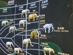 -野象谷景区