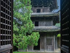 -杨家堂村