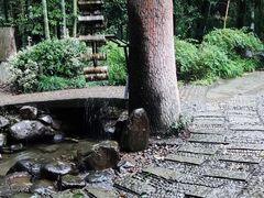 -大奇山国家森林公园
