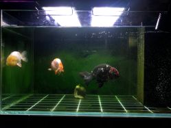 -青木造型HAIR·あおき髪を刈る潮人店