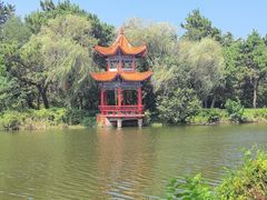 -日照海滨国家森林公园