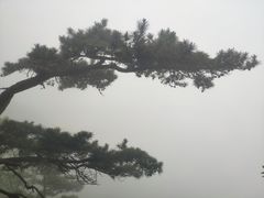 -西泰山风景区