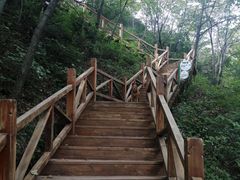 -大岭沟猕猴桃谷风景区