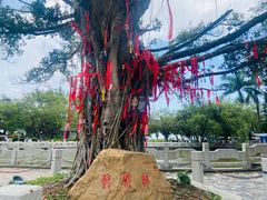 -南沙天后宫景区