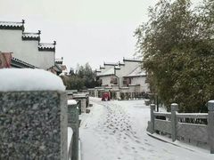 -兰陵国家农业公园