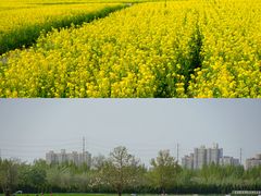 -汉长安城未央宫国家考古遗址公园