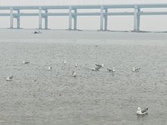-黑石礁公园