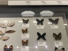 -四川大学博物馆