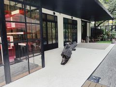 -T館·花园艺术餐厅