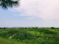 -鄱阳湖国家湿地公园
