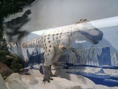 -陕西自然博物馆