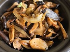 橄榄油大蒜炒杂菌-普兰达德国餐厅·德式脆皮烤猪肘·自酿啤酒(观唐店)