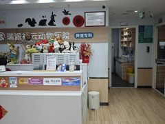 -瑞派·关忠动物医院猫科外科·异宠·24小时转诊中心(祥云店)