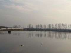 -洨河生态公园