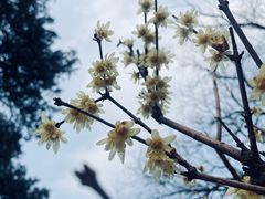 -国家植物园南园