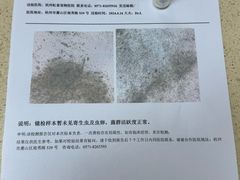 -虹泰宠物医院 ·旗舰店·24h(南秀路店)