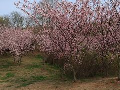 -南山风景名胜区