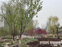 -西海子公园
