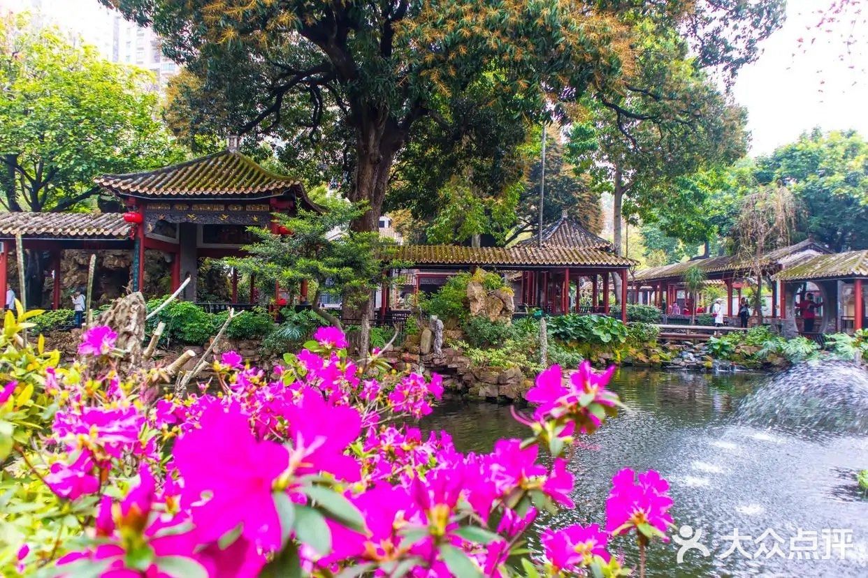 佛山必打卡景点，岭南四大园林之一清晖园
