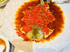 -青雅中餐厅(大连金石滩绿发希尔顿度假酒店)