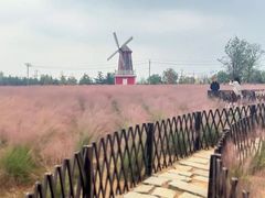 -羊亭河湿地公园