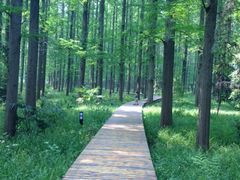 iphone_upload_pic-上海怡沁园度假酒店