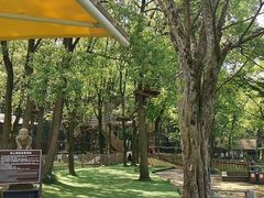 -WeLope紫金山探险公园